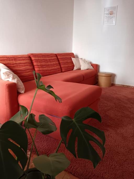 Forti Genova-Free Parking Castellaccio Apartment Extérieur photo